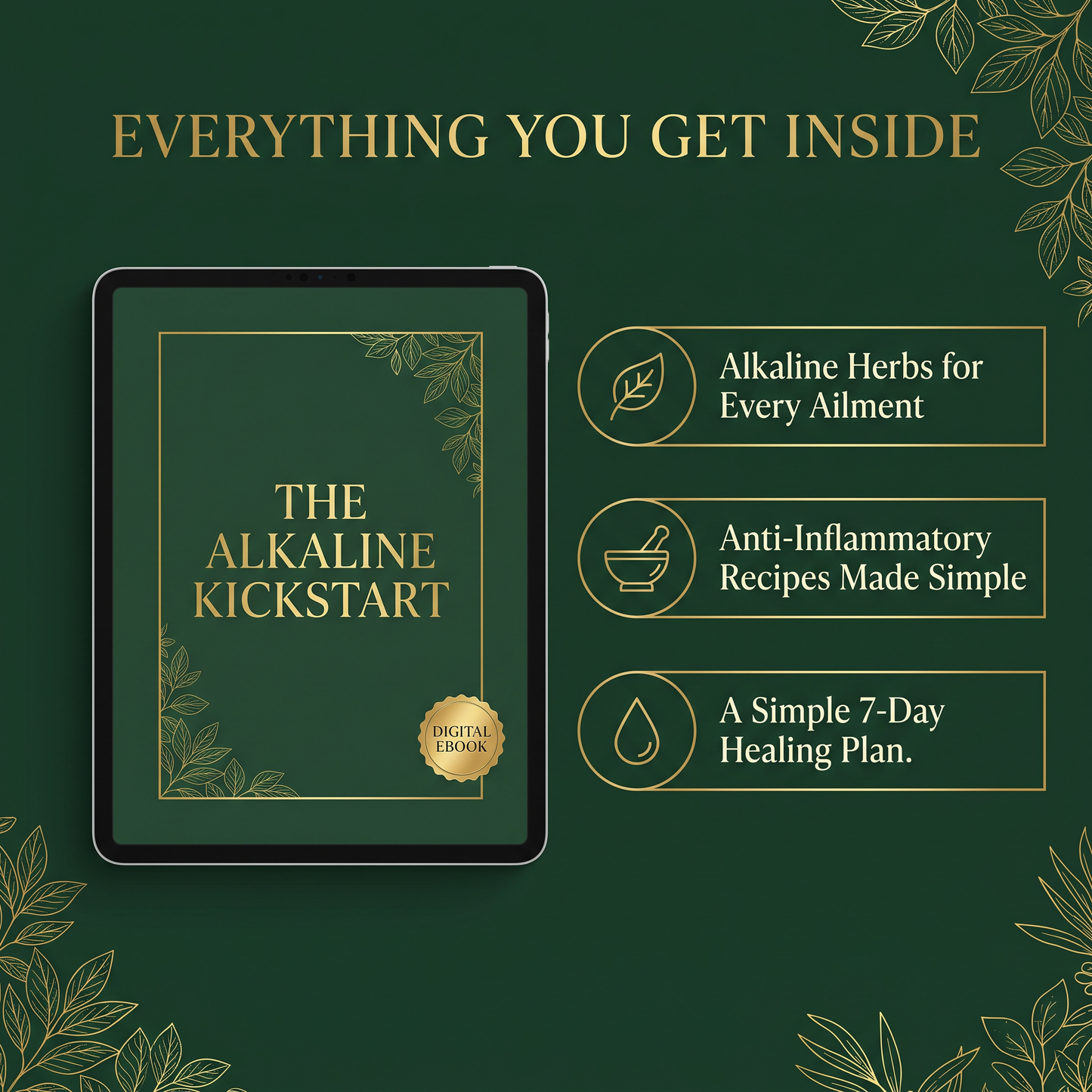The Alkaline Kickstart: E-book